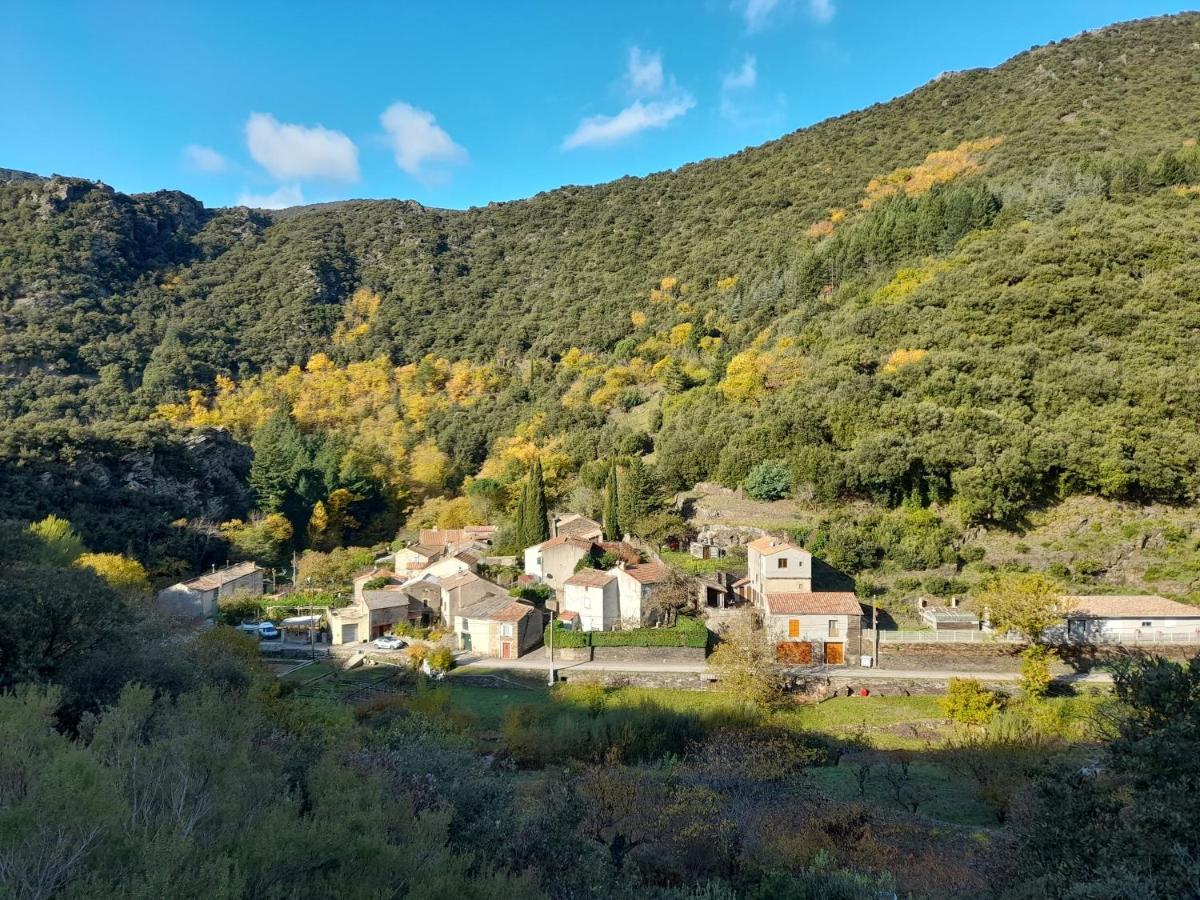 Villa La Fontchaude Cabrespine Exterior foto